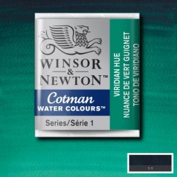 Acuarela Winsor&Newton COTMAN 1/2 Godet TONO DE VIRIDIANO