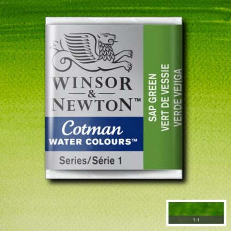 Acuarela Winsor&Newton COTMAN 1/2 Godet VERDE VEJIGA