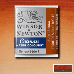 Acuarela Winsor&Newton COTMAN 1/2 Godet TIERRA SIENA TOSTADA