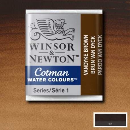 Acuarela Winsor&Newton COTMAN 1/2 Godet PARDO VAN DYCK
