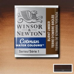 Acuarela Winsor&Newton COTMAN 1/2 Godet TIERRA SOMBRA TOSTADA