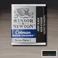 Acuarela Winsor&Newton COTMAN 1/2 Godet NEGRO MARFIL