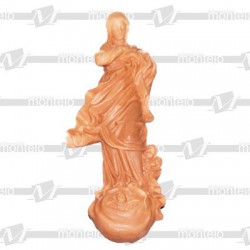 Virgen inmaculada resina