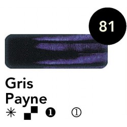 Óleo Titan GRIS PAYNE  20 ml