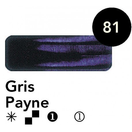 Óleo Titan GRIS PAYNE  20 ml