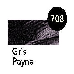 Óleo Van Gogh GRIS PAYNE 200 ml